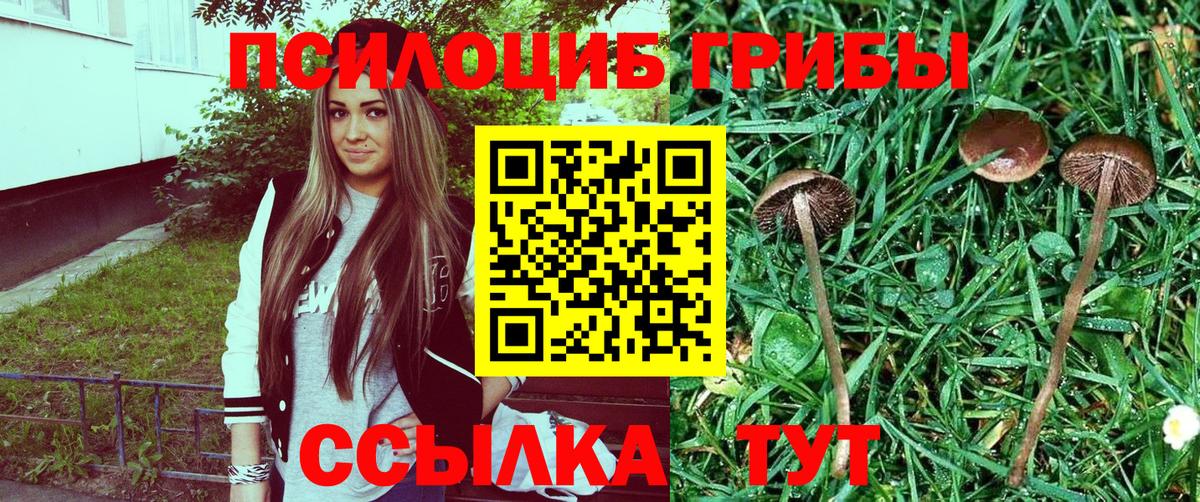 Галлюциногенные грибы ЛСД Крымск